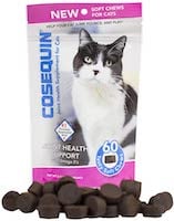 Treatment & Supplements for Cat Arthritis | Preventive Vet - Cat Arthritis Vitamins